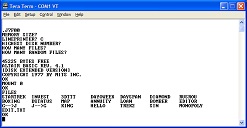 Screen Shot of Disk Basic
